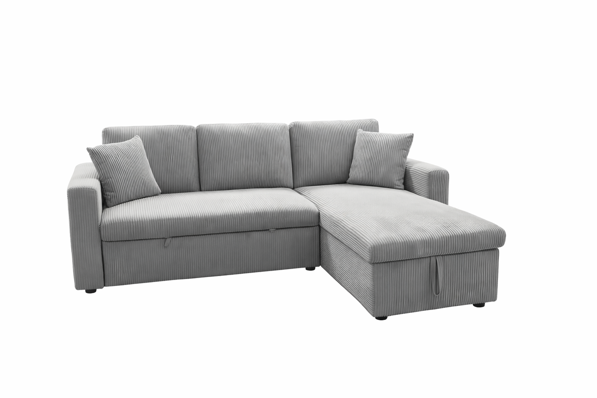 Elio Pull-Out Sectional Sofa Bed
