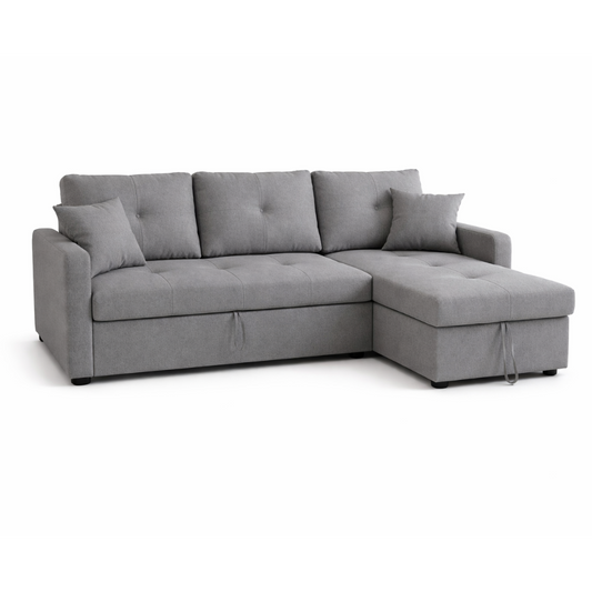 Pull-Out Sectional Sofa Bed