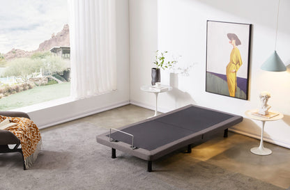Electric Adjustable Platform Bed